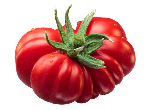 Beefsteak Tomato Seeds – Heirloom Untreated NON-GMO From Canada