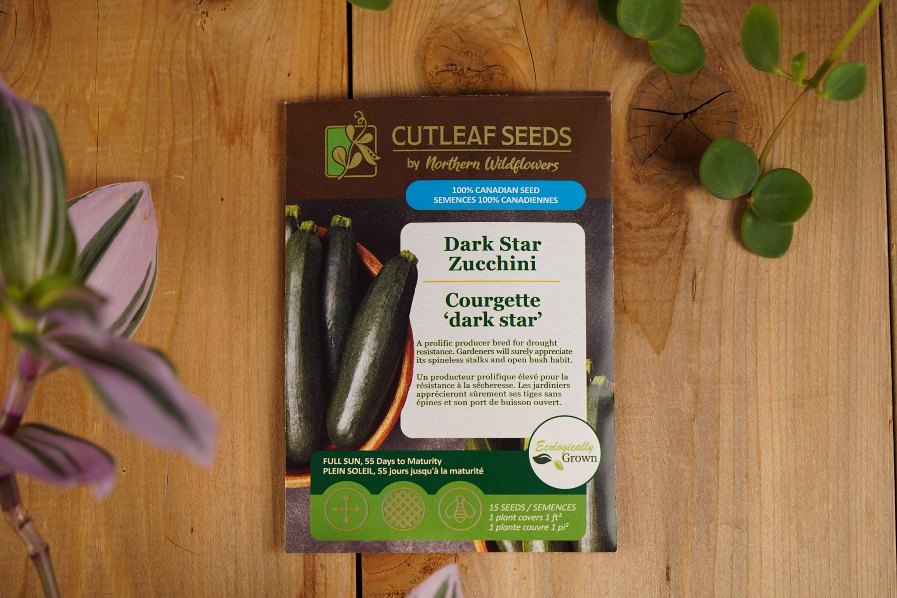 Courgette 'dark star'
