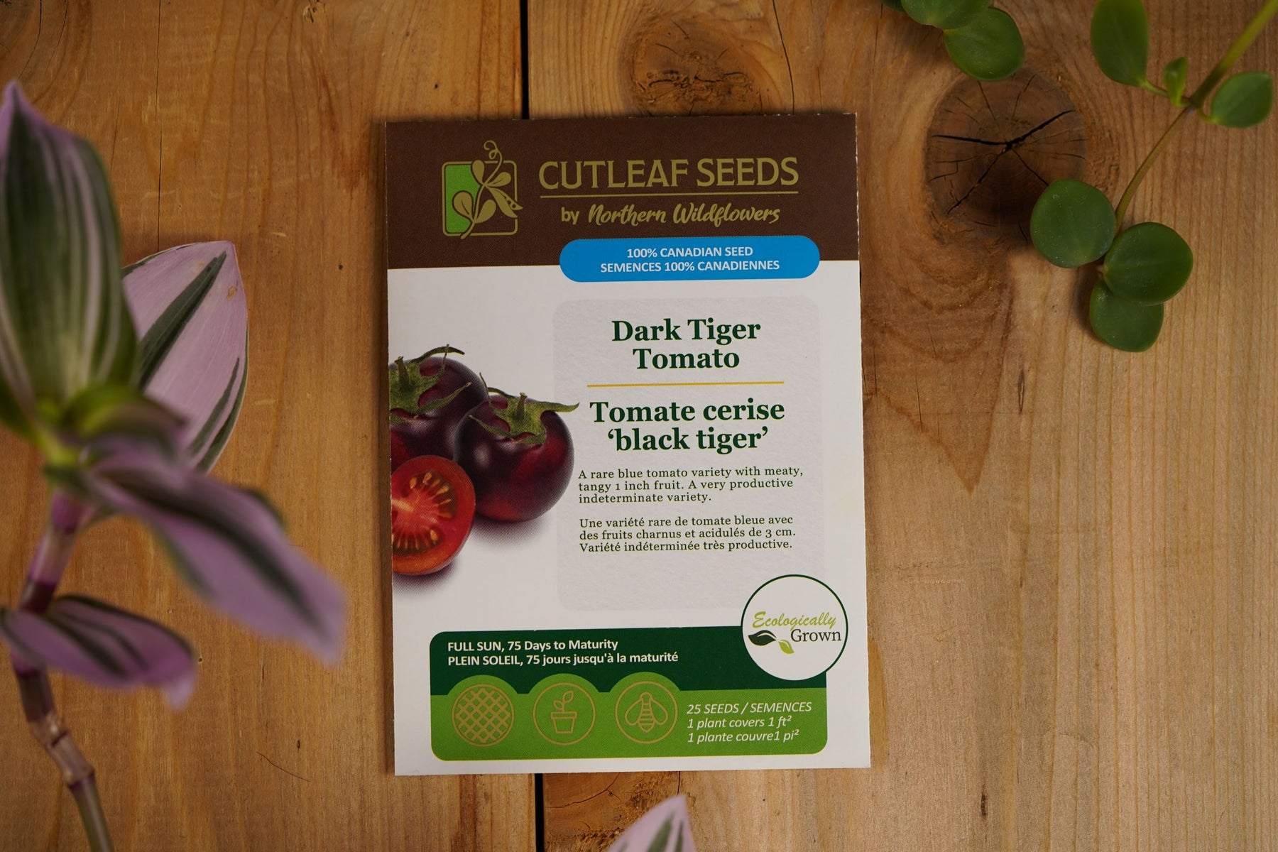 Tomate, cerise 'black tiger'