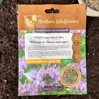 Dry and Sunny Wildflower Seed Mix
