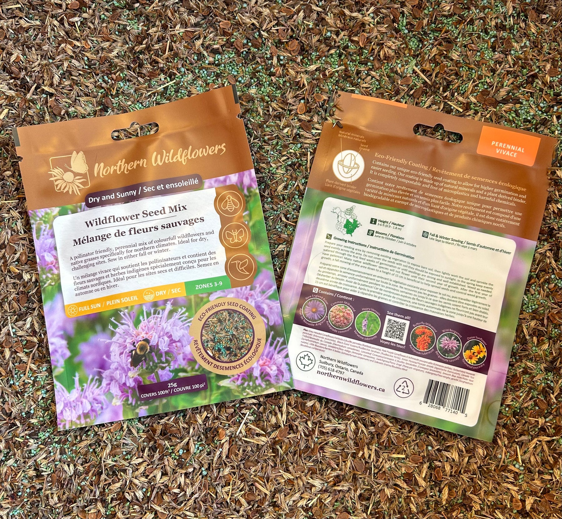 Mélange de semences de fleurs sauvages sec et ensoleillées