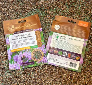 Mélange de semences de fleurs sauvages sec et ensoleillées