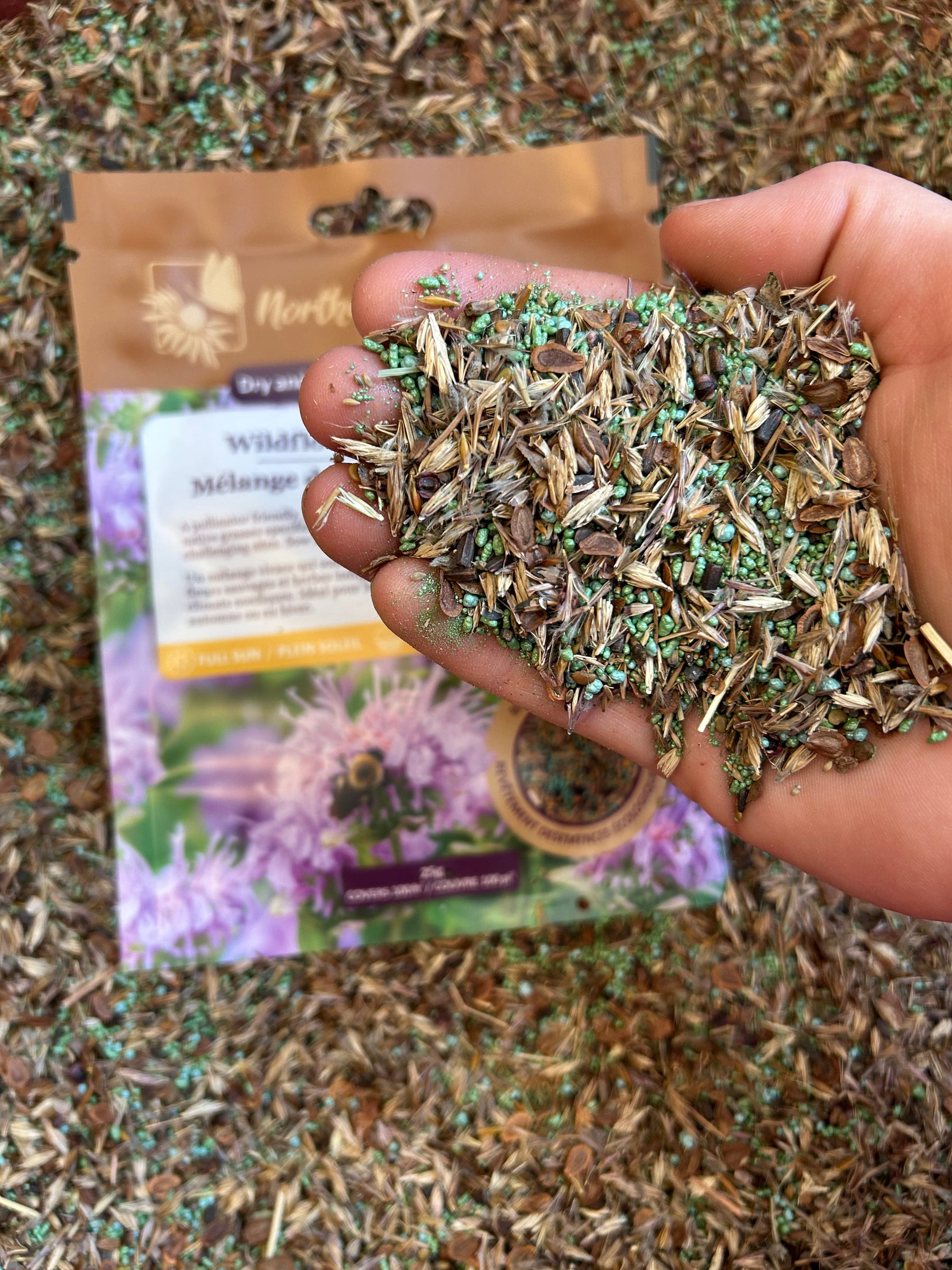 Mélange de semences de fleurs sauvages sec et ensoleillées