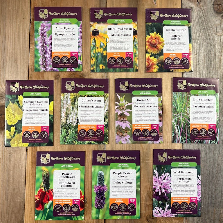 Easy To Grow Wildflower Collection