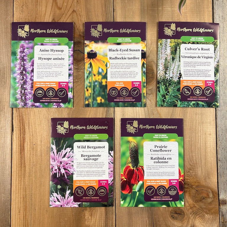 wildflower seed giveaway Easy To Grow Wildflower Seed Collection – Northern Wildflowers