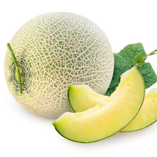 Melon, Eden's Gem Seeds