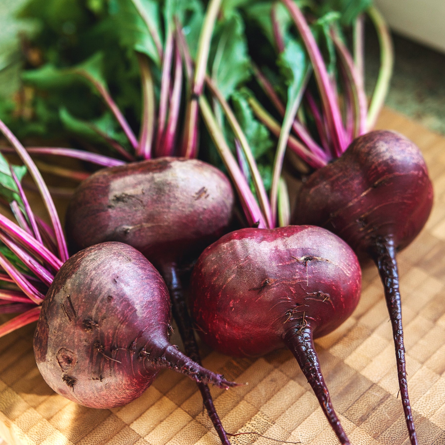 Beets, Flat of Egypt Seeds