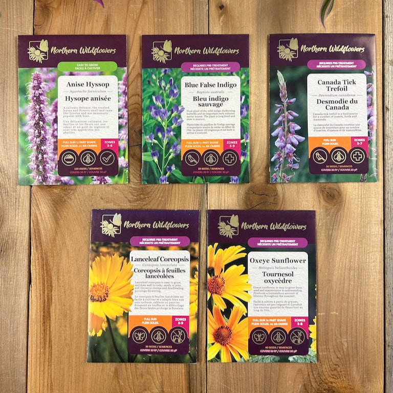 For the Bees Wildflower seed Collection