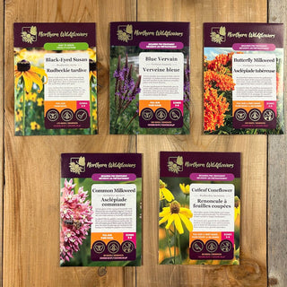 For the Butterflies Wildflower seeds Collection, what to grow for butterflies for pollinators. pollinator garden, butterfly garden