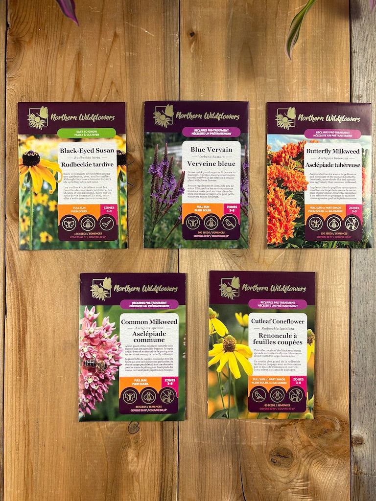 For the Butterflies Wildflower Seed Collection – Northern Wildflowers