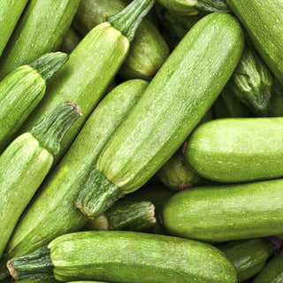 Genovese Zucchini, Seeds