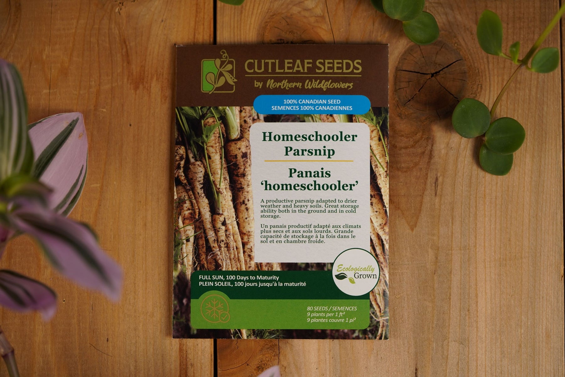 Panais 'homeschooler'