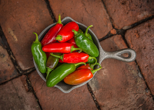 Sweet Heat Pepper Collection