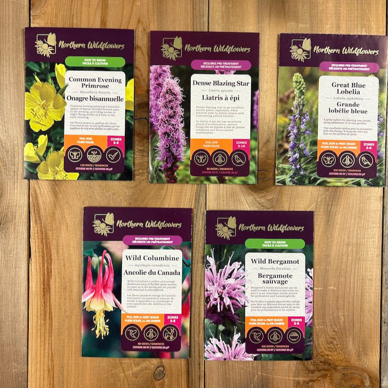 For the Hummingbirds Wildflower seed  Collection