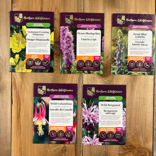 For the Hummingbirds Wildflower seed  Collection
