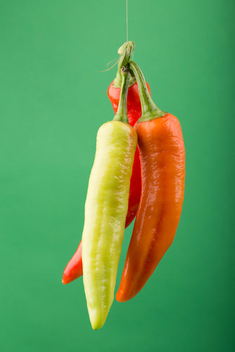 Pepper, Hungarian Hot Wax
