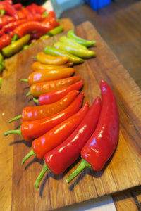 Sweet Heat Pepper Collection