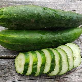 Cucumber, Japanese Climbing Seeds