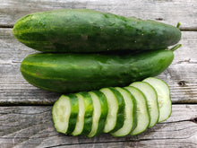 Load image into Gallery viewer, Cucumber Japanese Climbing