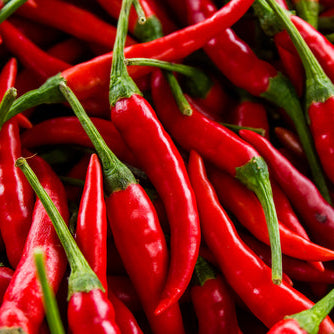 Pepper, Long Red Cayenne Seeds
