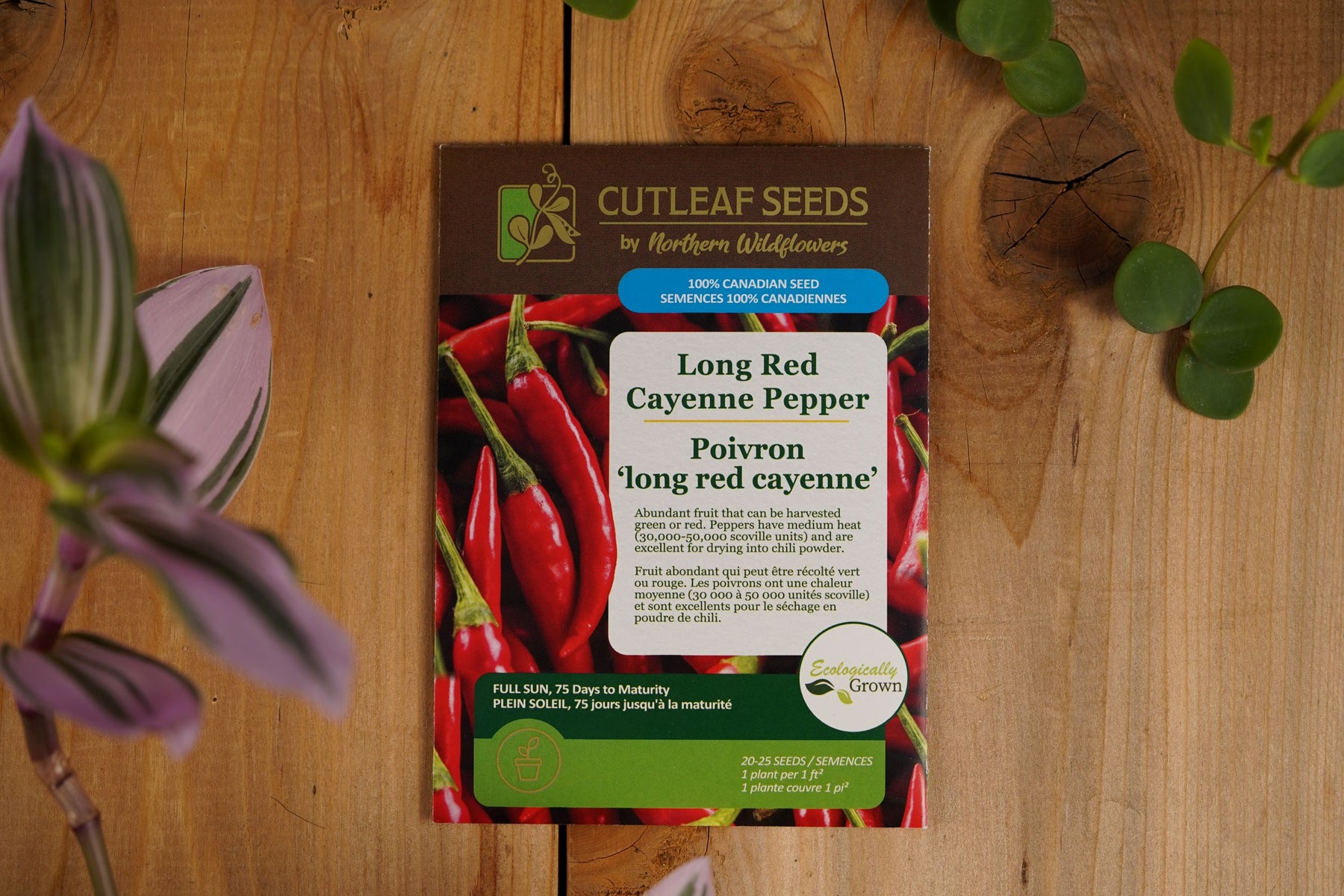 Pepper, Long Red Cayenne