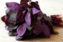 Load image into Gallery viewer, Orach, Magenta (Mountain Spinach)