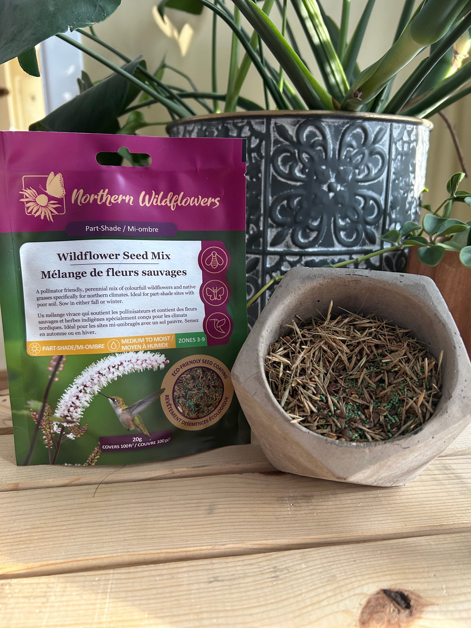 Mélange de semences de fleurs sauvages à mi-ombre