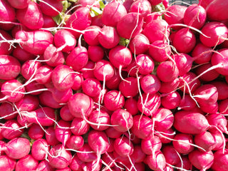 Easy to Grow Vegetable Collection