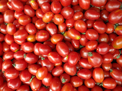 Tomate, principe borghese