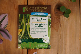 Haricots, nain vert provider