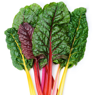 Swiss Chard, Rainbow Seeds