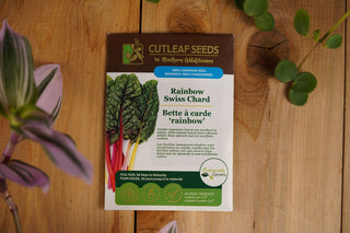 Swiss Chard, Rainbow