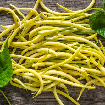 Beans, Rocdor (Yellow) Seeds