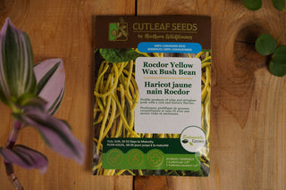 Beans, Rocdor (Yellow)