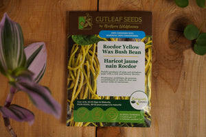 Beans, Rocdor (yellow)