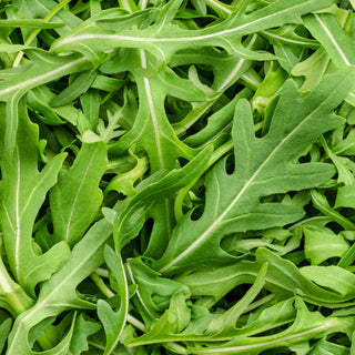 Arugula, Roquette Seeds
