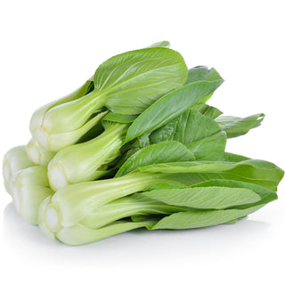 Bok Choy, Shanghai Seeds