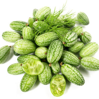 Cucumber, Sour Gherkins Seeds