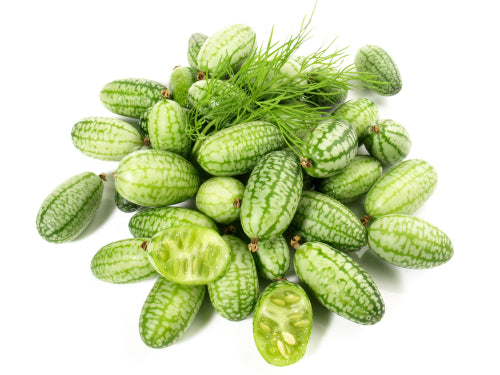 Cucumber, Sour Gherkins