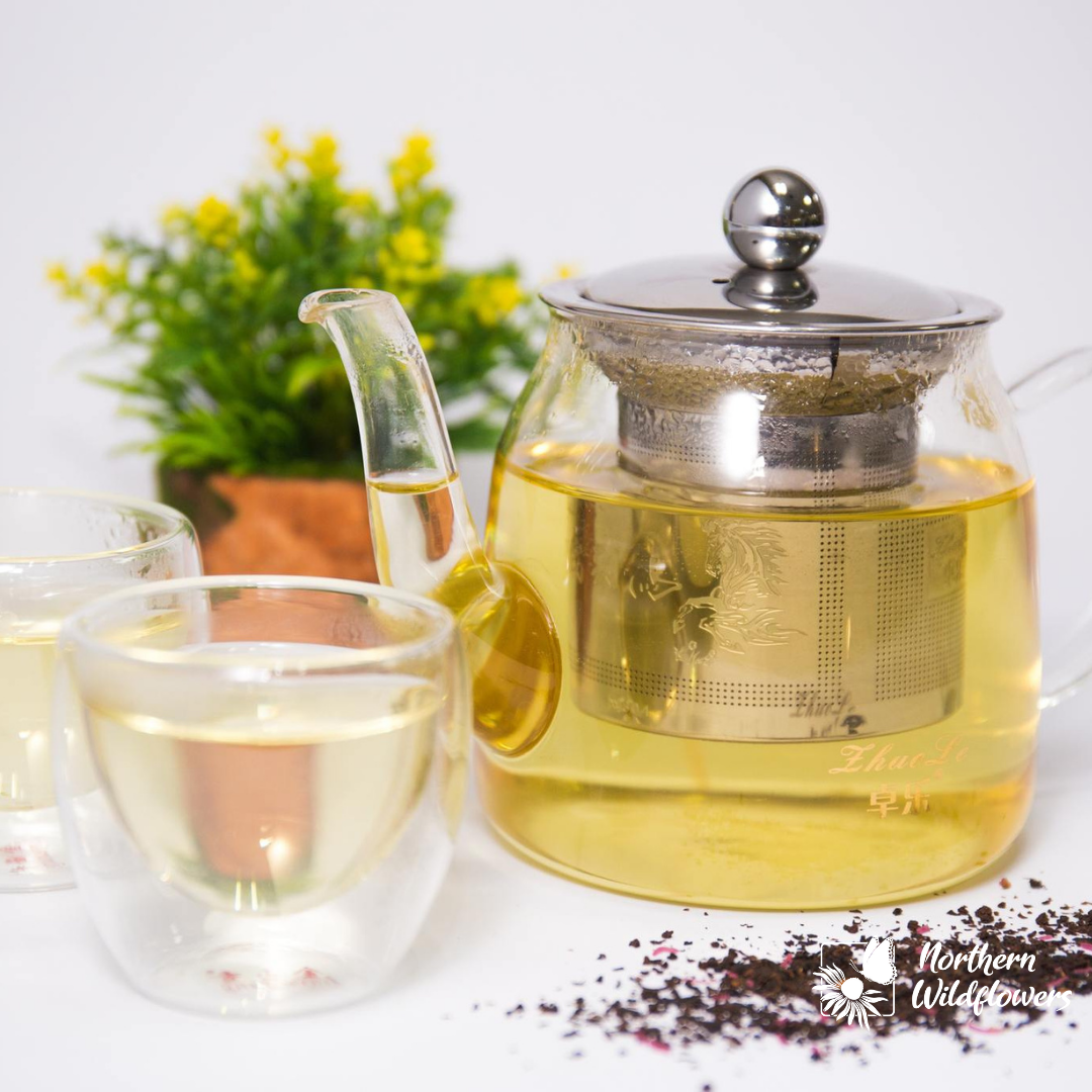 Wild Tea Seed Collection