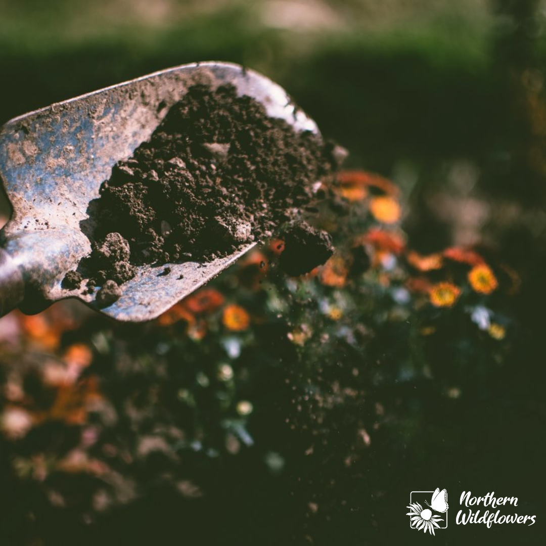 Soil Amendment Wildflower Collection