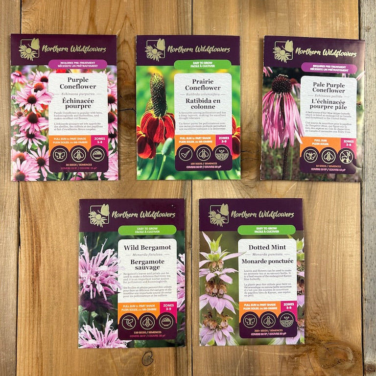 Wild Tea Seed Collection