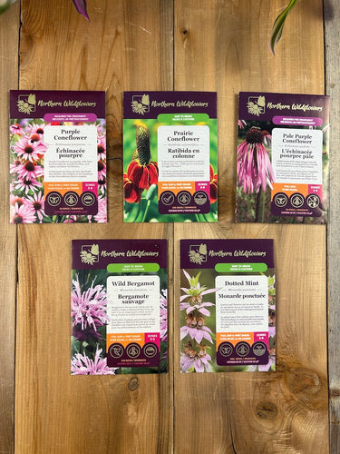 Wild Tea Seed Collection