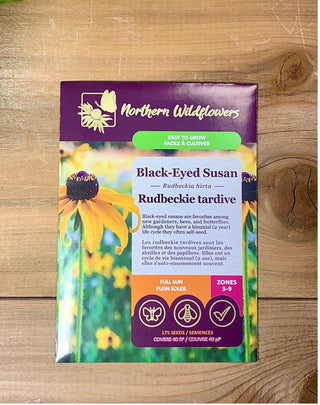 Rudbeckies tardives