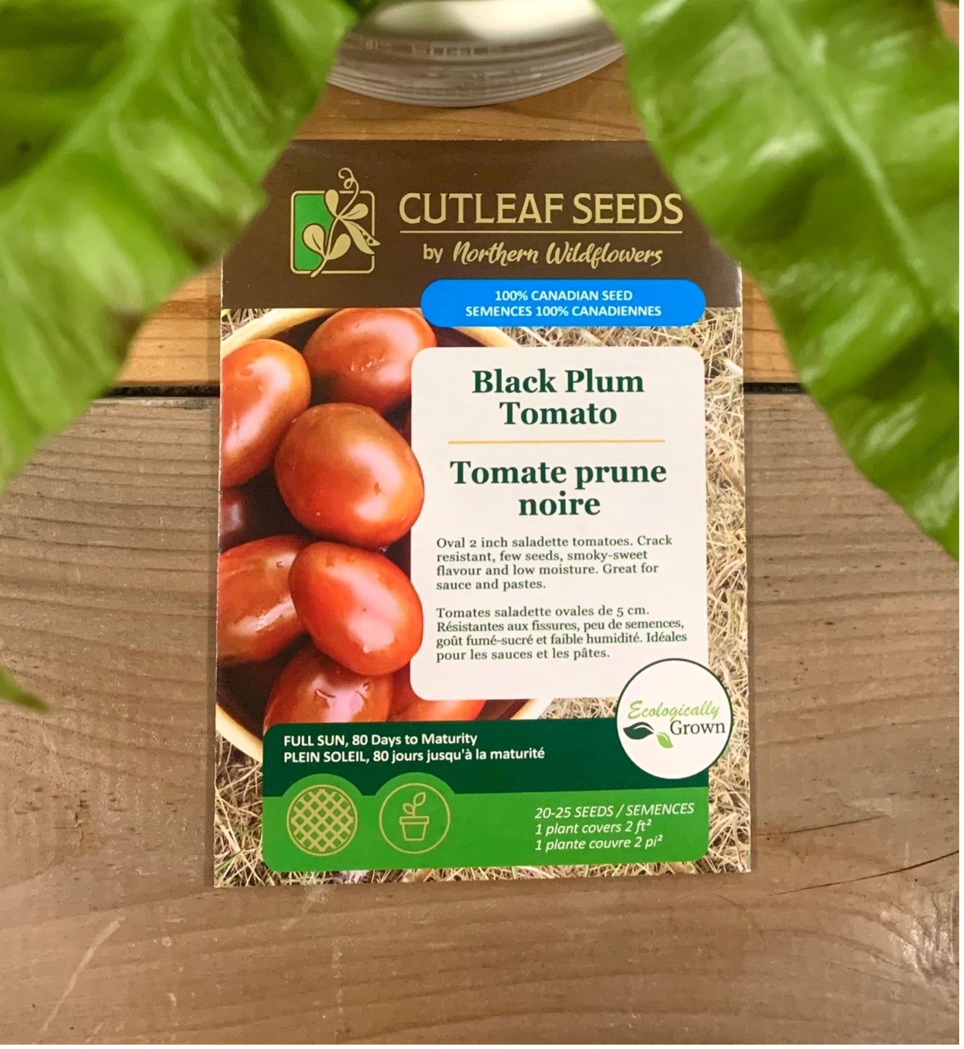 Tomate prune noire