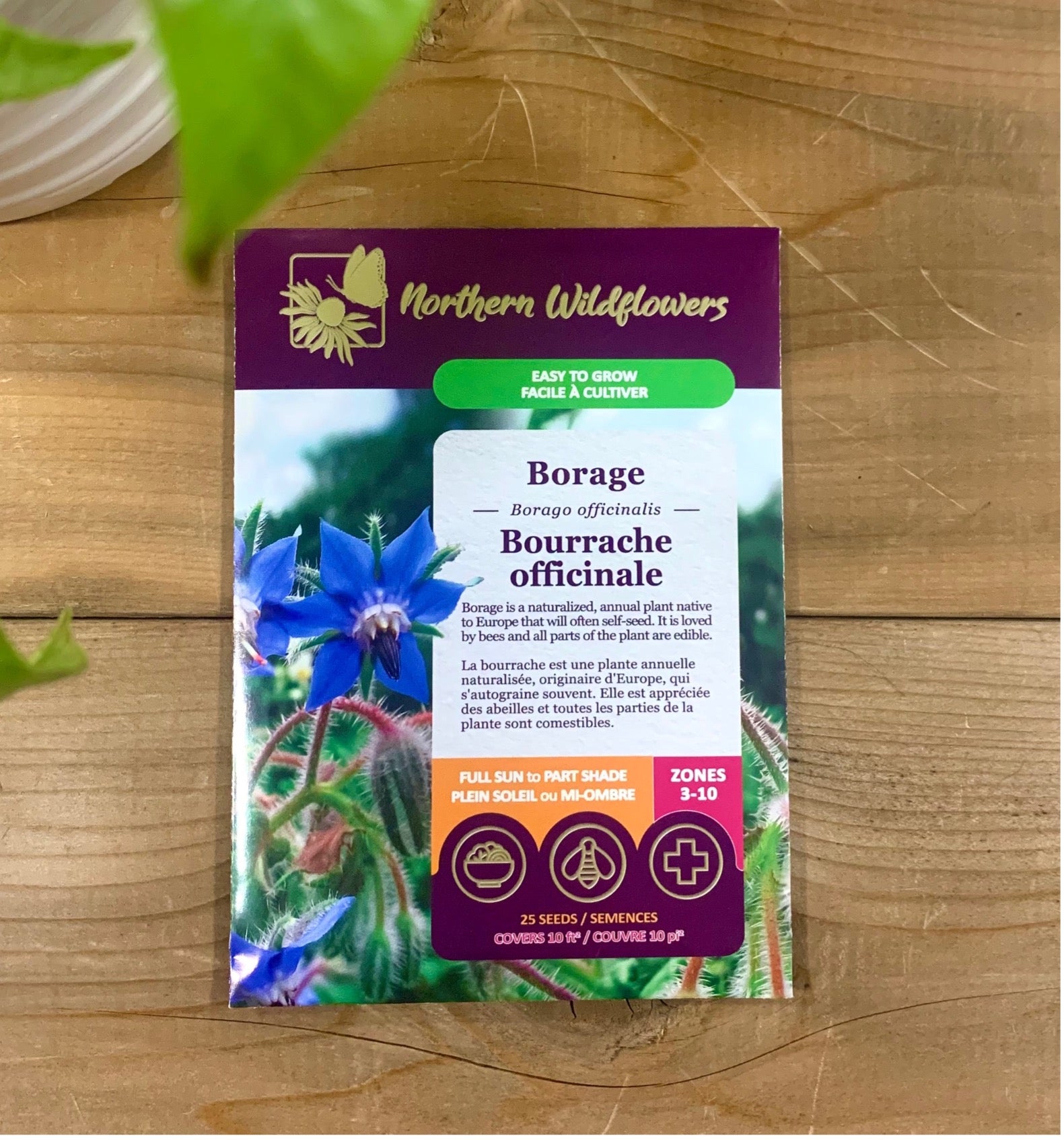 Bourrache officinale