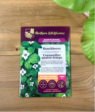 Cornouiller quatre-temps