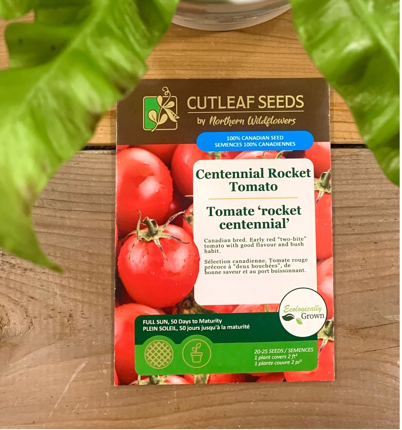 Tomato, Centennial Rocket