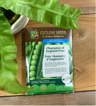 Pois, 'champion d'Angleterre'