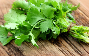 Cilantro, Slow Bolt